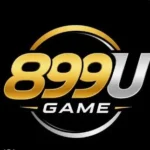 899U Game