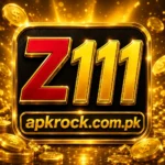 Z111 Game